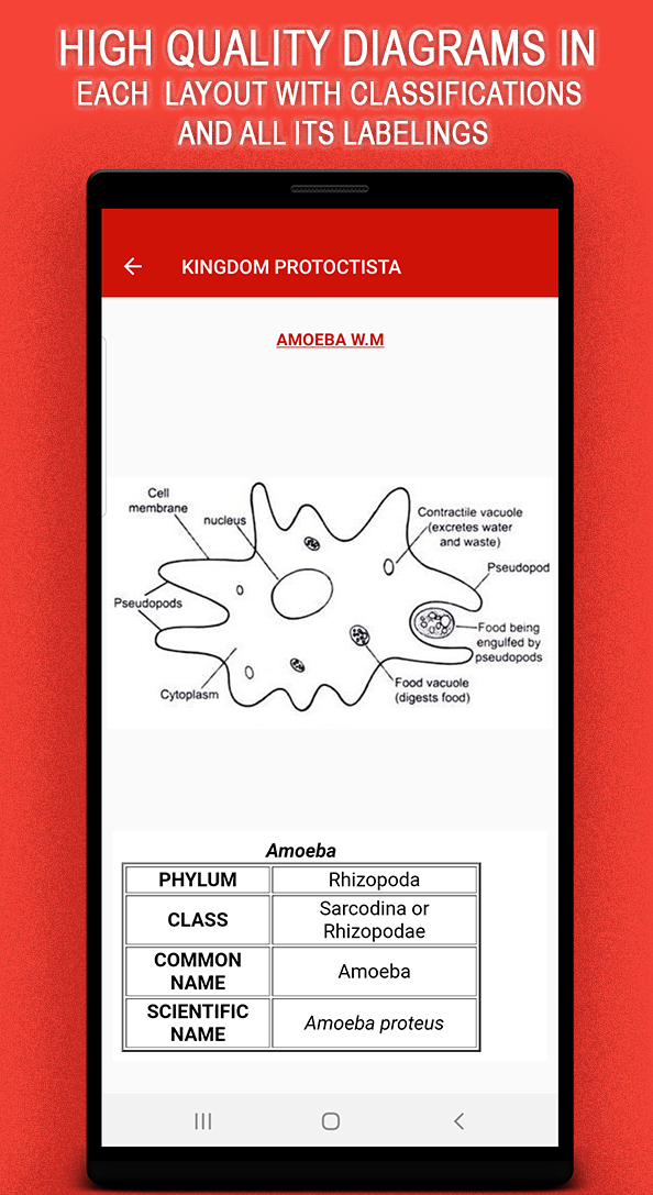 5. high quality diagrams-3